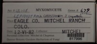 Image Associated With the Occurence